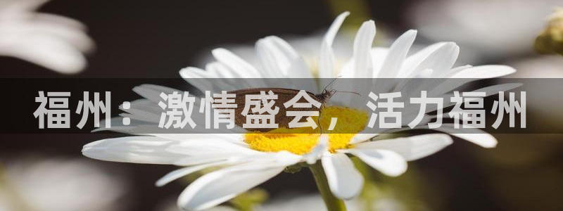 星速体育为什么下不了：福州：激情盛会，活力福州