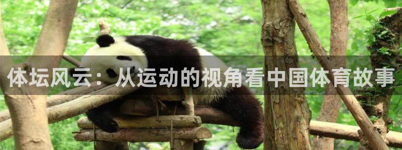 星速体育入口：体坛风云：从运动的视角看中国体育故事