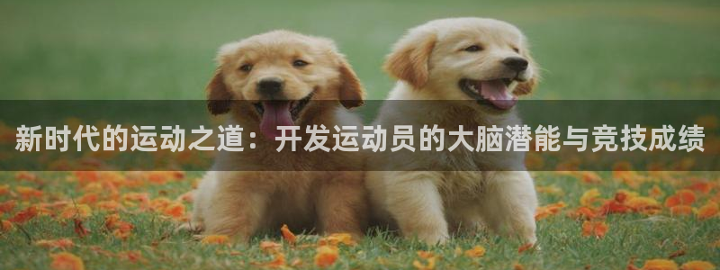 星速体育在线观看：新时代的运动之道：开发运动员的大脑潜能与竞技成绩