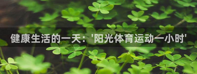 星速体育下载不了：健康生活的一天：\'阳光体育运动一小时\'