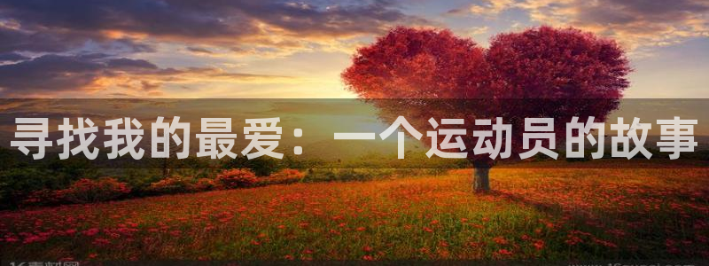 星速体育网脂1267碘top：寻找我的最爱：一个运动员的故事