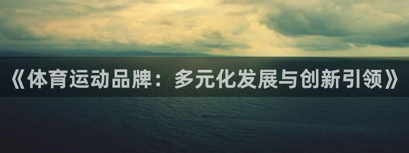 星速体育免费下载：《体育运动品牌：多元化发展与创新引领》