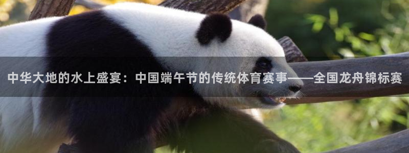 星速体育直播app官方下载：中华大地的水上盛宴：中国端午节的传统体育赛事——全国龙舟锦标赛