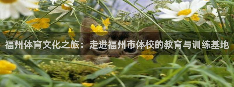 星速体育安卓版下载：福州体育文化之旅：走进福州市体校的教育与训练基地