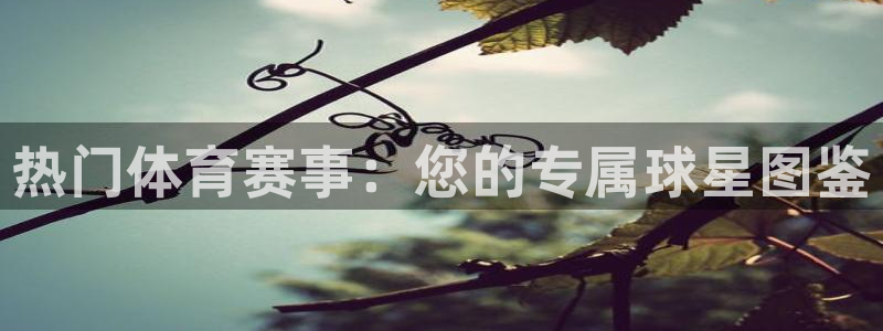 星速体育app下载：热门体育赛事：您的专属球星图鉴