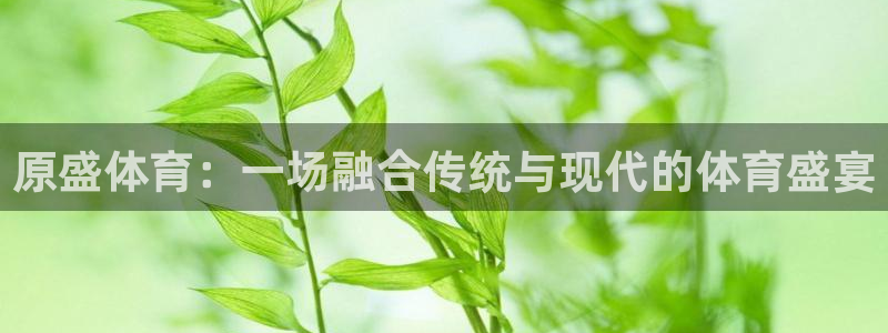 星速体育app官网下载：原盛体育：一场融合传统与现代的体育盛宴