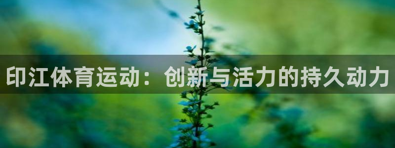 星速体育NBA直播免费软件：印江体育运动：创新与活力的持久动力