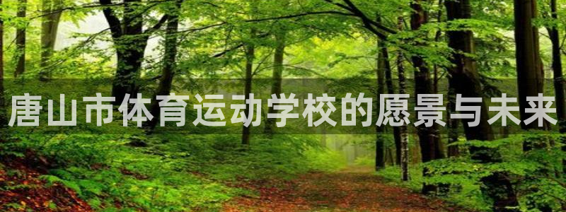 星速体育比分赛事：唐山市体育运动学校的愿景与未来