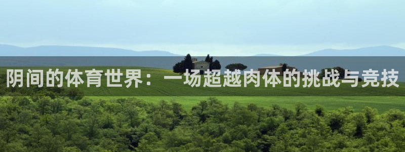 星速体育头狼：阴间的体育世界：一场超越肉体的挑战与竞技
